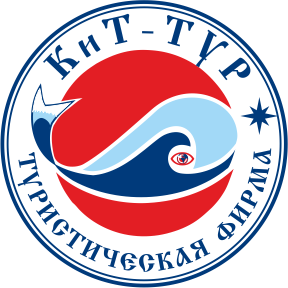 logo_KiT_Tur_V